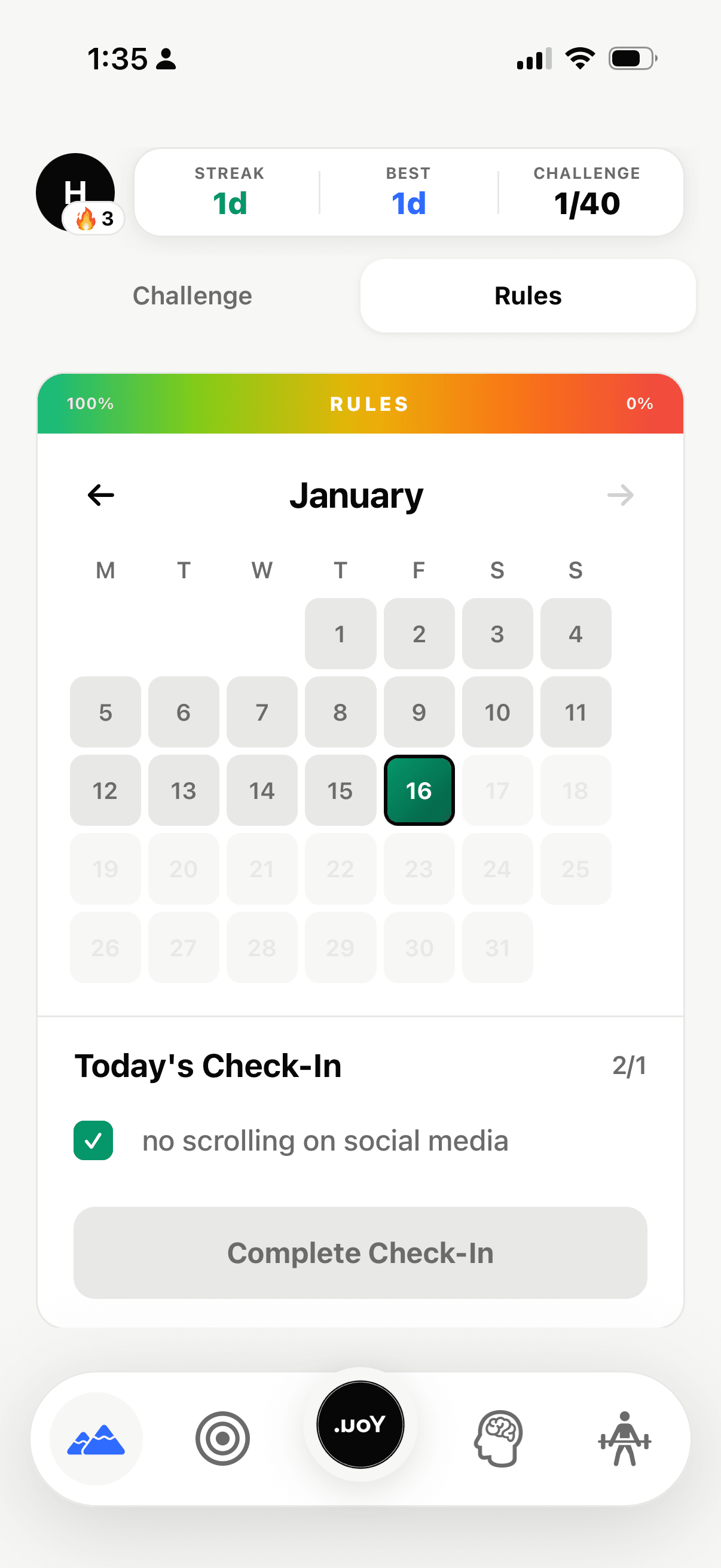 Rules page with calendar tracker and daily check-in